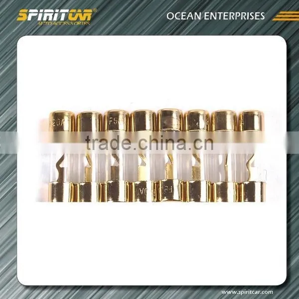 Glass Tube Fuse AGU FUSE