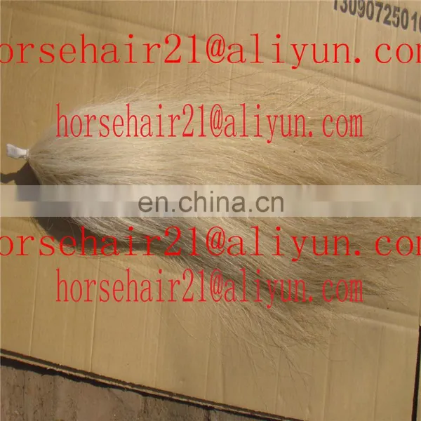 Ebay Horse Tail Hairs / Horsetail Hairs / Horse Hairs photo-2