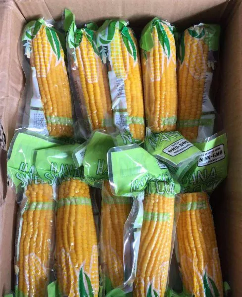 Imported Fresh Sweet Corn Imported Fresh Sweet Corn Low Market Price Natural Fresh Sweet Corn Food Prices