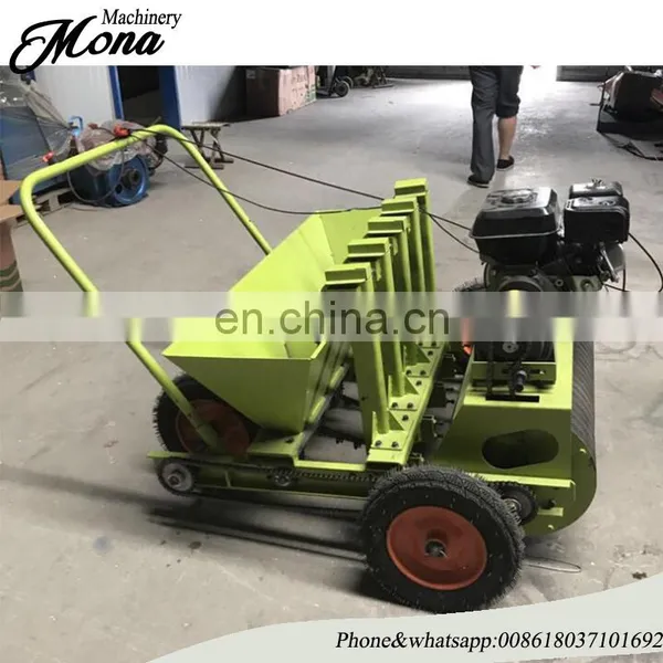 8 Rows Garlic Planter Machine/garlic /allium Sativum Seeder photo-2