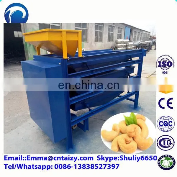 Walnut Processing Machine Walnut Sorting Machine Hazelnuts Sorter Machine photo-6