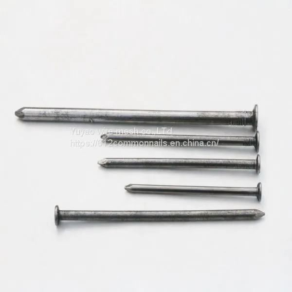 Wholesale Bulk Factory Common Nail photo-2