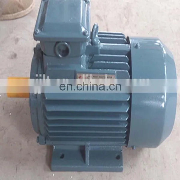 Three Phase 132kw 160kw 200kw 220kw 250kw 280kw 315kw Motor photo-5