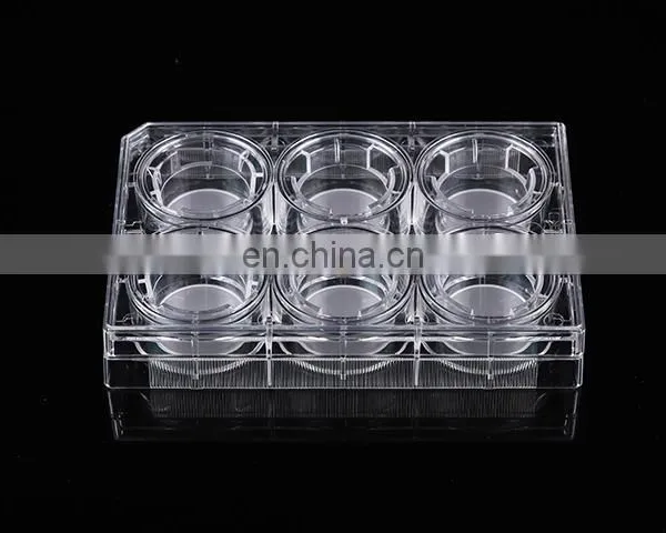 Lab Consumables 12 Inserts/6 Well Cell Culture Flask Cell Inserts photo-4