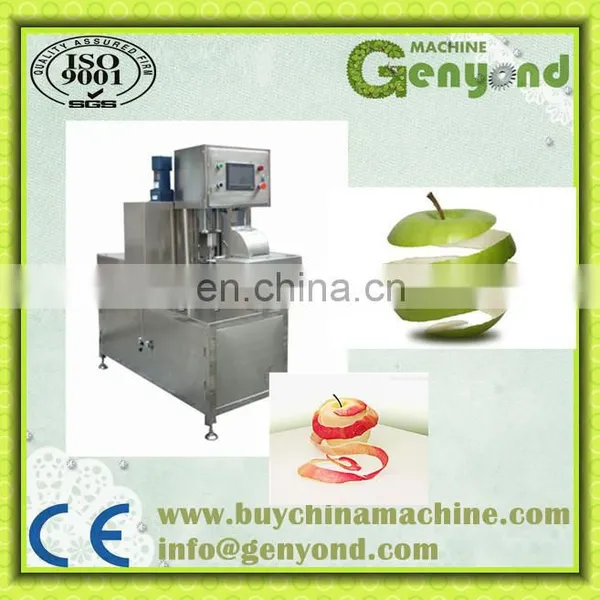 Dried Mango Processing Plant photo-4