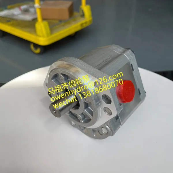 EATON VICKERS GEAR PUMPS 26004-RZG ACNAR04ADA0030000000000A 26005-RZC ACNAR05ACA0010000000000A 26006-RZC ACNAR06ACA0010000000000A photo-2