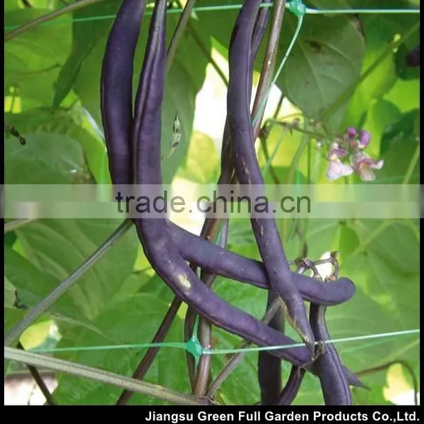 Pea and Bean Netting photo-3