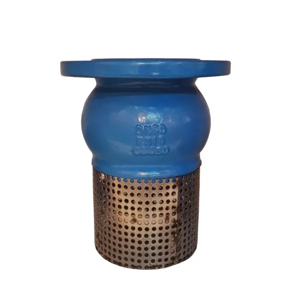 JIS/ANSI/DIN Foot Valve PN16 Cast Iron GGG50 Ductile Iron Flange Stainless Steel Filter Strainer Water Pump Check photo-5
