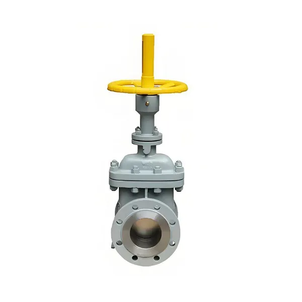 Factory Direct Sales Flat Gate Valve photo-2