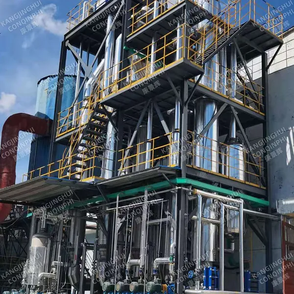 Salt Separation Equipment for Food Processing Industry Removing Salt From Brine Solutions photo-5
