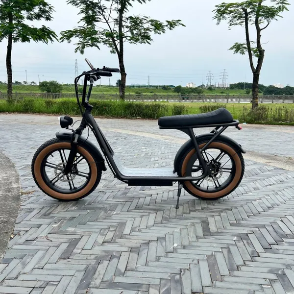 20inch Electric Curiser Scooter Motorcycle With Bench Seat photo-4