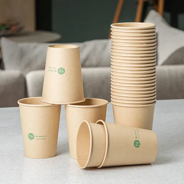Disposable Cups Supplier photo-2