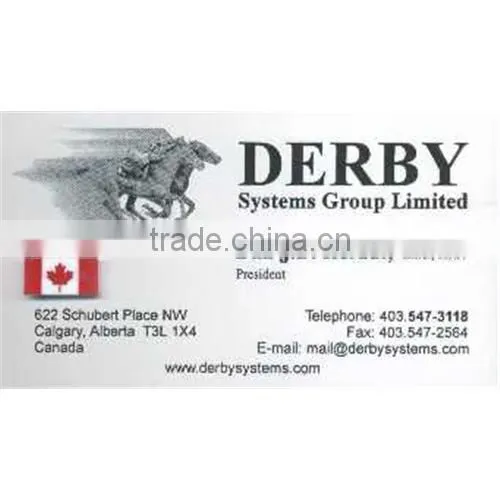 Customized Paper Business Card For Sale photo-3