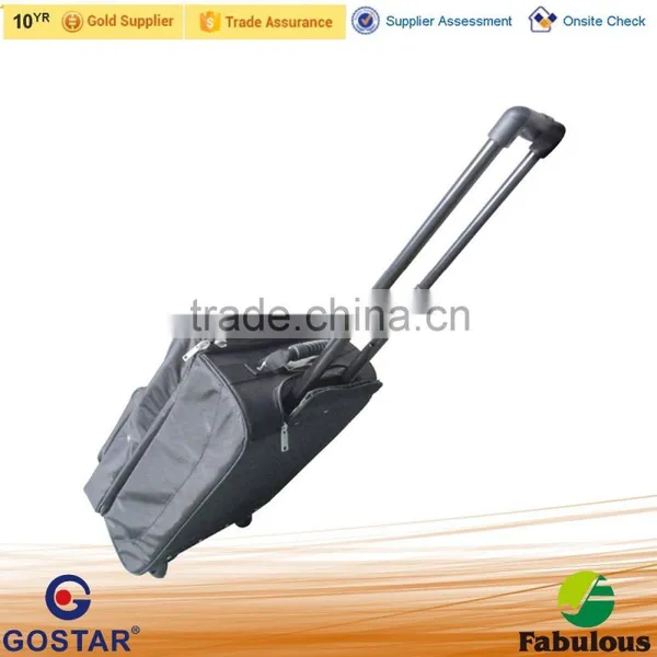 Hot Sale Ployester Luggage