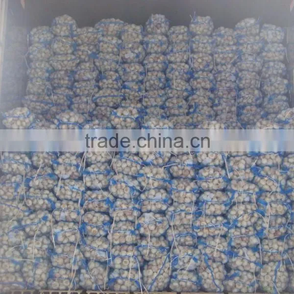 China Cheap Garlic photo-2