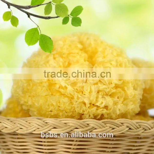 Low Price Tremella Chinese White Fungus photo-6