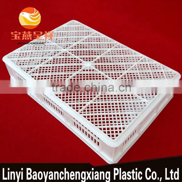 605x420x130mm Plastic Moving Crate Sale for Turnover Chick Duckling Transportation photo-5