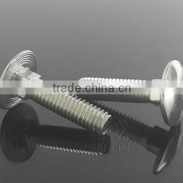 SS Bolt photo-3