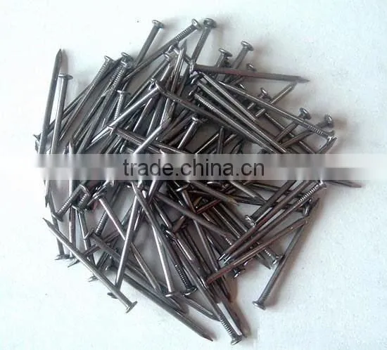 Common Iron Nail
