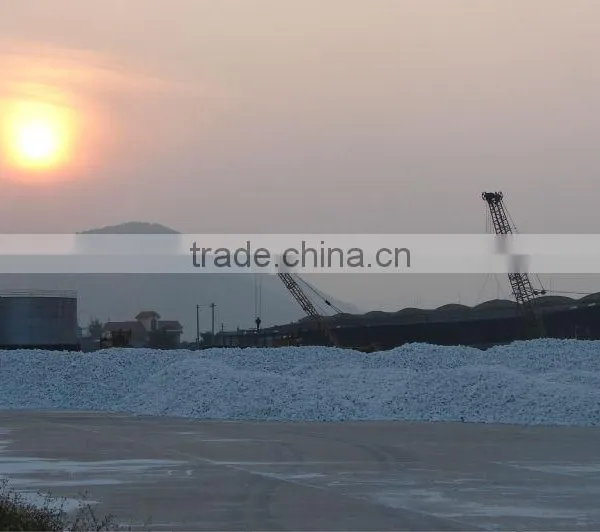 Lump of White Limestone photo-3