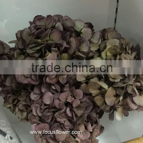 High Quality Fresh Preserved Flower Blue White Hydrangea Bouquet For Christmas photo-4
