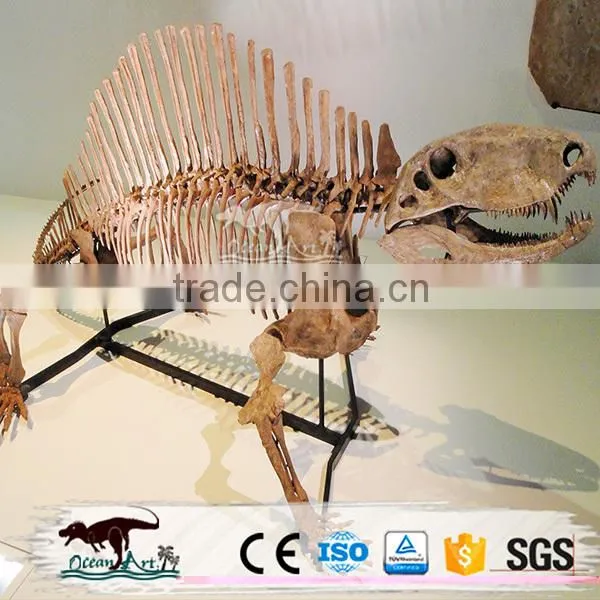 2016 Vivid Life Size Replica Dinosaur Fossils For Sale photo-5