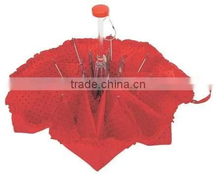 Foldable Umbrella