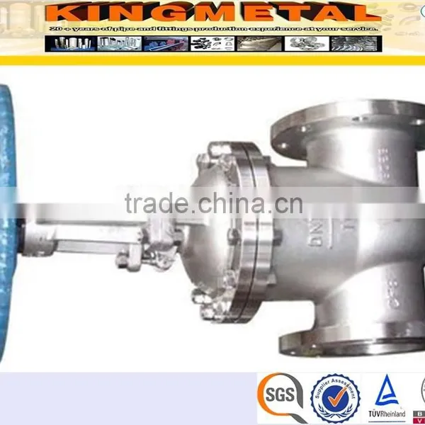 F304 150Lbs/300Lbs Stainless Steel Gate Valve photo-6