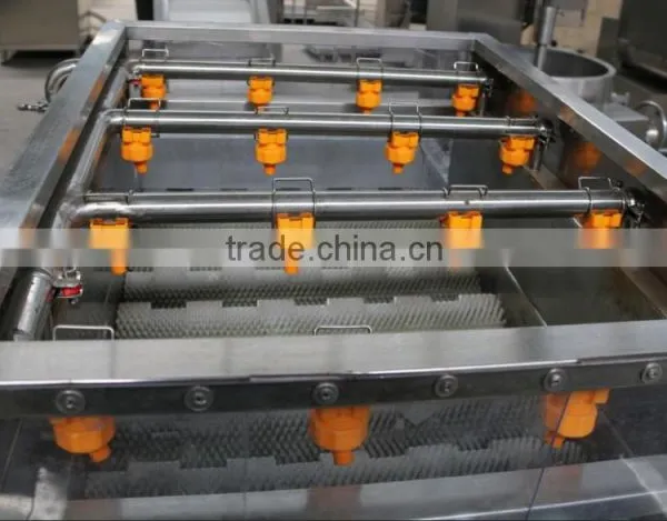 Video of SS304 Bubble Tomato Washing Machine and Washer Fruit/ Bulk Washing Machines photo-4