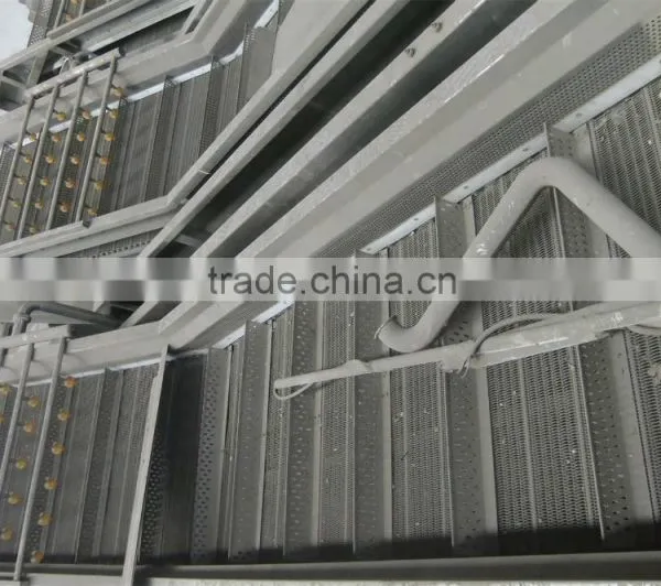 Potato Taro Yam Carrot Washing Machine photo-3