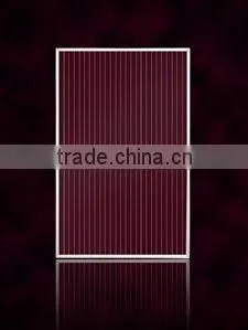 Amorphous Silicon Solar Panel(1-25WP)