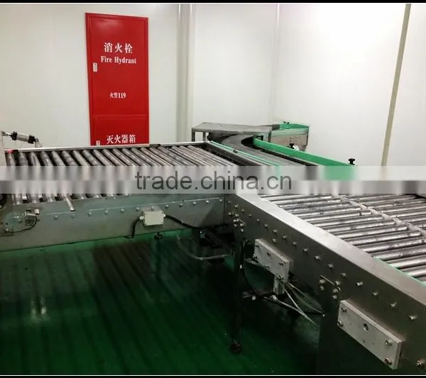 Non-standard Roller Deck and Bending Conveyor photo-4