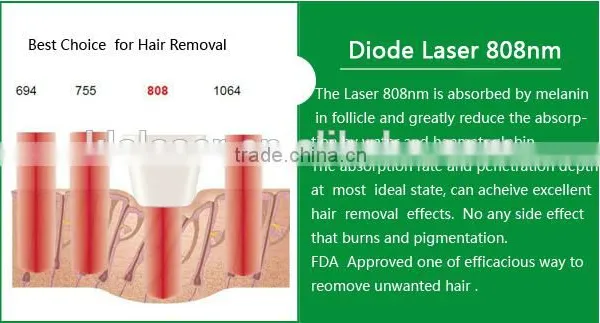 Diode Laser Skin Rejuvenation Equipment 808nm Diode Laser (808) photo-4