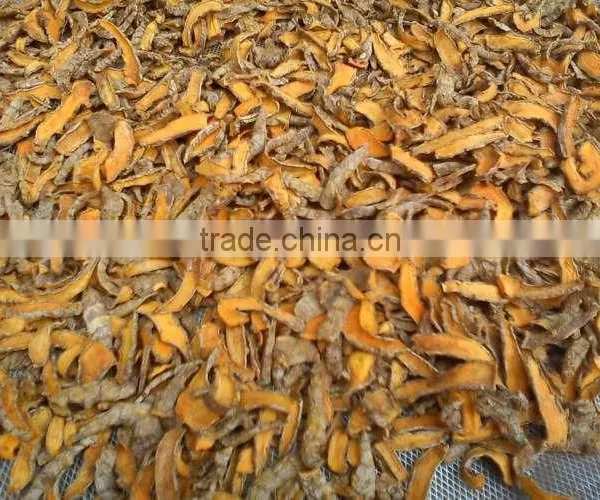 Vietnam Dried Tumeric Exporter(website: Hanfimex08) photo-4