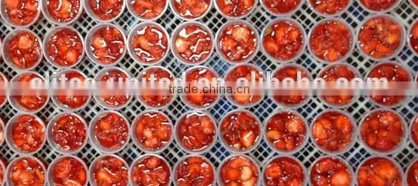 Price Strawberry Suger Slice Frozen
