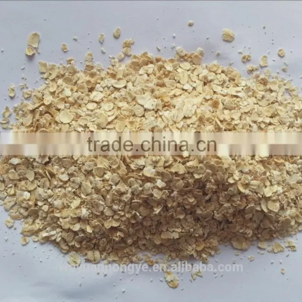 Oats Flakes