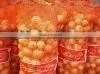 Yellow Onion in Low Price