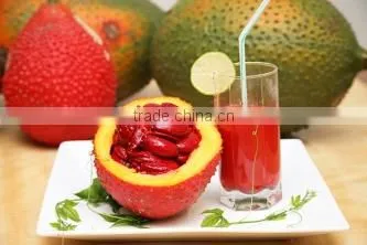Natural Lycopene Powder/0.1-4% Lycopene From Gac Fruit Powder Extract photo-2