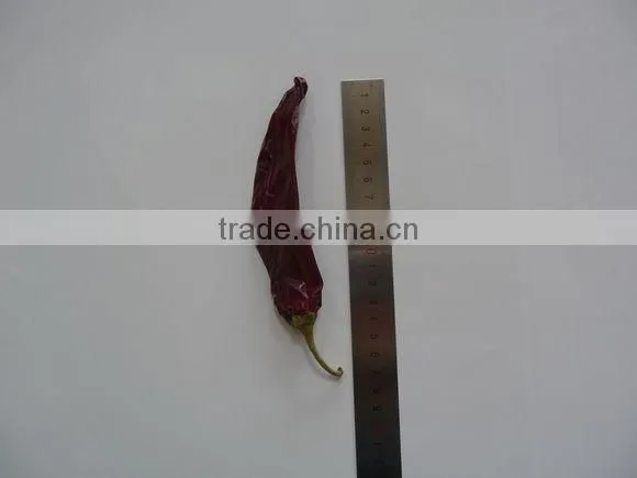 Chinese Manufacturer Supplier A Grade ISO, HACCP, HALAL Certification 80-240 Asta Hot Selling Red Sweet Paprika Chilli photo-4