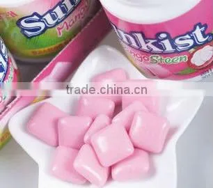 Vitamin and Mineral Chewing Gum Supplement for Immunity System