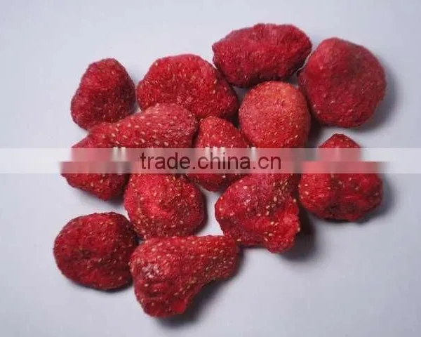 Food Vacuum Freeze Drying Machine 0086-15202132239 photo-5