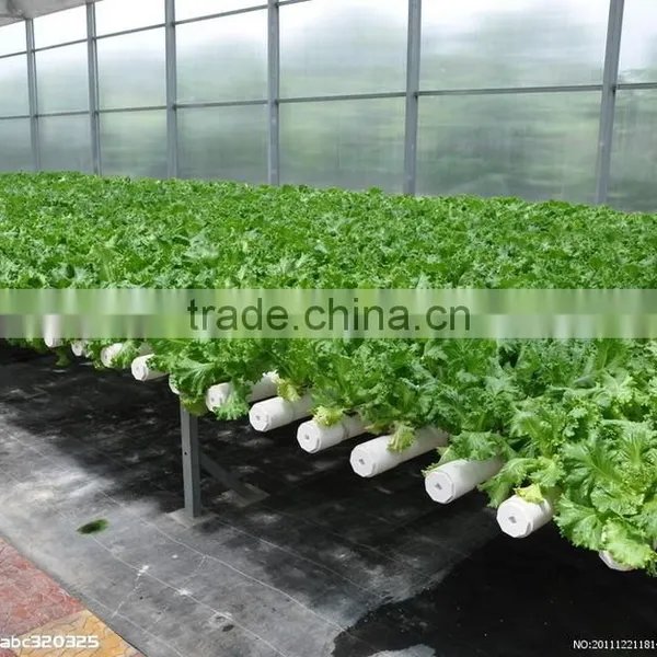 Good Daylighting and Fire Retardant Vegetables Greenhouse,commercial Greenhouse,fiberglass Greenhouse photo-2