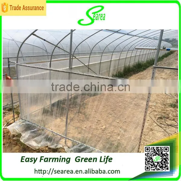 Agricultural Single Span Greenhouses photo-2