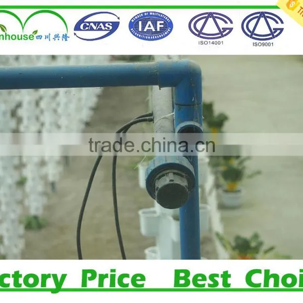 Low Cost Greenhouse Hydroponica photo-6