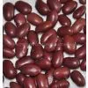 RED KIDNEY BEANS photo-3
