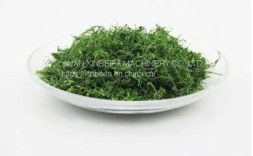 Gynostemma Pentaphyllum Dried Tea Drying Oven photo-5