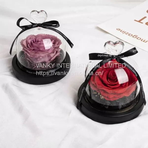 Dandelion Music Box photo-2