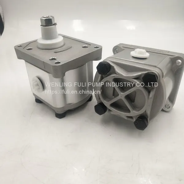 Hot Sales Genuine Parts Hydraulic Gear Pump for Fiat 480SH photo-2