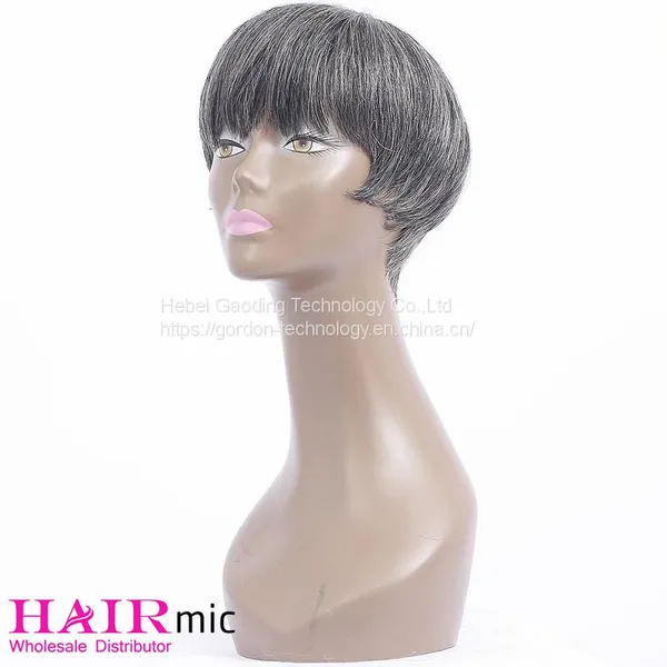 Short Gray Human Hair Wig With Wholesale Price photo-3