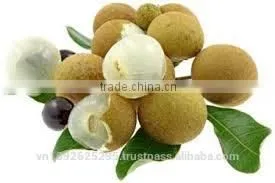 Longan Fruit photo-4
